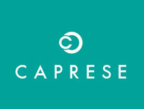 VEGAS MALL Caprese Store in Delhi